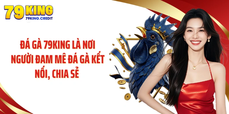 Đá gà 79KING là nơi người đam mê đá gà kết nối, chia sẻ 